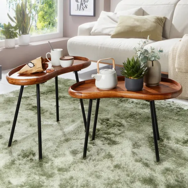 Finebuy Couchtisch Set FB52620 Sheesham Massiv Satztisch Nierenform mit Metallbeinen, Wohnzimmertische Massivholz, Kleine Nierentische Echtholz, Stubentische Holz, Beistelltisch-Set Modern