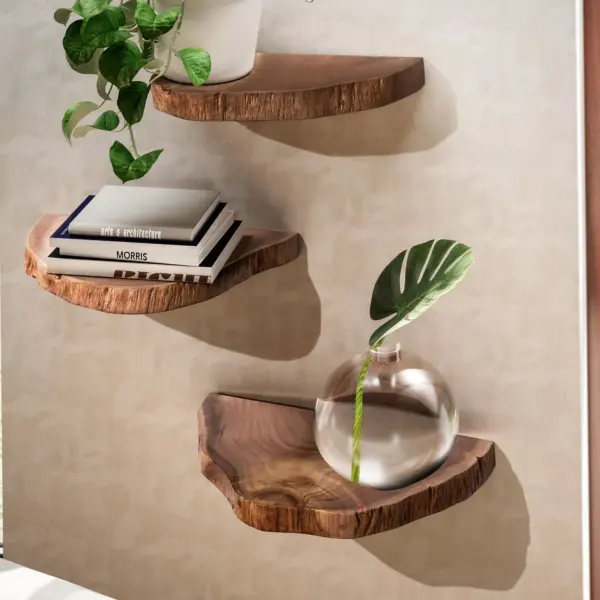 FineBuy Wandregal 3er Set Akazie Vollholz Hängeregal Baumscheibe, Natur Pflanzentreppe für die Wand, Schweberegal Hängend mit Baumkante, Blumentreppe Baumstamm Modern