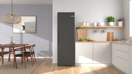 BOSCH Serie 4 Freistehender Gefrierschrank 4 Freistehender Gefrierschrank 186.2, Grau – 186,2 × 59,5 cm